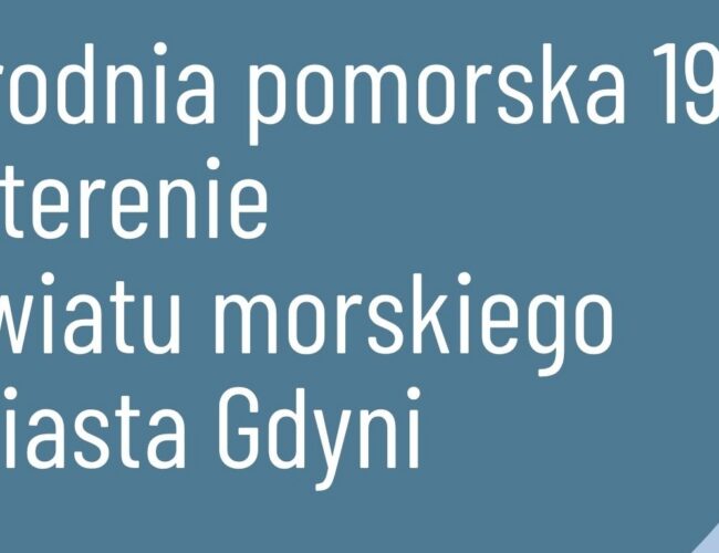 Strona główna