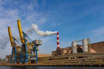 Powiedzieli o Porcie Haller